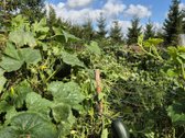 Parduodamas Visiškai Įrengtas, Jaukus Ir - nuotraukos Nr. 58