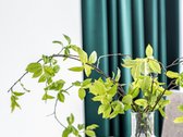 Mažaaukščių gyvenamųjų namų kvartale "Bitėnų - nuotraukos Nr. 6