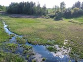 Parduodama Autentiška Sodyba Utenos Rajone  - nuotraukos Nr. 2
