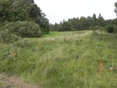 Parduodamas Namas Ant Gėlių Ežero Kranto Su 3 - nuotraukos Nr. 13