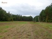 Patrauklioje vietoje, šalia miško, su geru - nuotraukos Nr. 2