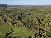 Parduodamas Žemės Ūkio Paskirties Sklypas! - nuotraukos Nr. 5