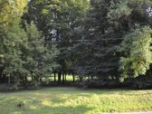 Šis sklypas-tai maksimalaus privataus - nuotraukos Nr. 31