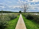Parduodamas Žemės Sklypas Vydmantų K., - nuotraukos Nr. 13