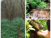 Išskirtinė Sodyba-vienamekis – Virš 7 Ha - nuotraukos Nr. 13