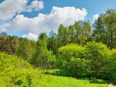 Išskirtinė Sodyba Su Tvenkiniu Miškų - nuotraukos Nr. 26