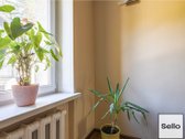  – Nt ekspertai be procentų - nuotraukos Nr. 17