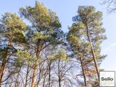  – Nt ekspertai be procentų - nuotraukos Nr. 31