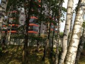 2 kambarių butas „Beržų terasose“  terasa  - nuotraukos Nr. 42