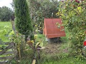 Parduodamas namas Dieveniškių sen., Maciučių k. - nuotraukos Nr. 15
