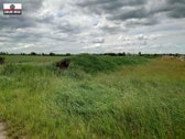 Parduodamas pigiai 1,67 ha žemės sklypas - nuotraukos Nr. 9