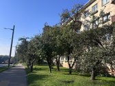Parduodamas šviesus ir tvarkingas 2 kambarių - nuotraukos Nr. 28