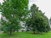 Parduodamas šviesus ir jaukus bei - nuotraukos Nr. 35