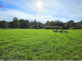 Parduodamas 5,244 Ha Sklypas Širvintos Upės - nuotraukos Nr. 18