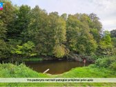Parduodamas 5,244 Ha Sklypas Širvintos Upės - nuotraukos Nr. 7