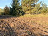 1. Rudens g. 10, detaliajame plane sklypas Nr - nuotraukos Nr. 8
