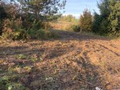 1. Rudens g. 10, detaliajame plane sklypas Nr - nuotraukos Nr. 9