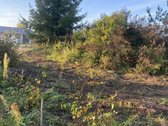 1. Rudens g. 10, detaliajame plane sklypas Nr - nuotraukos Nr. 10