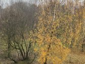 Kokybiškai Įrengtas 2 Kambarių Butas Su - nuotraukos Nr. 19