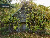 Parduodama sodyba su erdviu 0,91 ha sklypu - nuotraukos Nr. 9