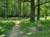 Žarėnų Apartamentai – Stilingi namai gamtos - nuotraukos Nr. 14