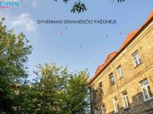 Nuomojamas šviesus erdvus butas su Parkavimo - nuotraukos Nr. 15