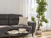 Parduodamas erdvus 3 kambarių, 72.69 m² butas - nuotraukos Nr. 3