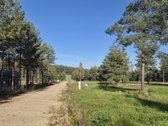 Parduodami du nuostabūs sklypai naujoje Miško - nuotraukos Nr. 2