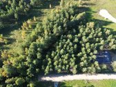 Parduodami du nuostabūs sklypai naujoje Miško - nuotraukos Nr. 5