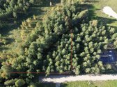 Parduodami du nuostabūs sklypai naujoje Miško - nuotraukos Nr. 11
