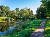 Parduodamas Išskirtinai Erdvus 5 Kambarių - nuotraukos Nr. 35