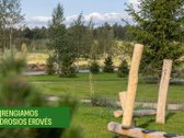 Pavasariai - Naujos Kartos Vilniaus - nuotraukos Nr. 10