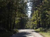 Turniškėse, artimoje Valakampių kaimynystėje, - nuotraukos Nr. 5