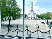 Nuomojamas Išskirtinis 3 Kambarių Butas - nuotraukos Nr. 16