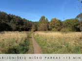 Parduodamas tvarkingas 3 kambarių (galima - nuotraukos Nr. 28
