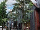 Trijų aukštų su dviem miegamaisiais apartamentai - nuotraukos Nr. 23