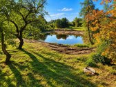 Parduodama autentiška 1,68 ha sodyba Zapyškio - nuotraukos Nr. 4