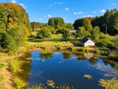 Parduodama autentiška 1,68 ha sodyba Zapyškio - nuotraukos Nr. 5