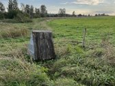 Parduodama sodyba Joniškio miestelyje, Utenos - nuotraukos Nr. 10