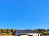 Miško apsuptyje, naujai besiformuojančiame - nuotraukos Nr. 16