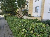 Parduodame šviesų ir jaukų 2 kambarių butą - nuotraukos Nr. 45