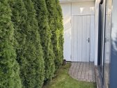 Parduodamas jaukus, šviesus ir pilnai - nuotraukos Nr. 34