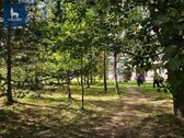 Nuomojamas jaukus ir tvarkingas 3 kambarių - nuotraukos Nr. 22