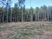 Unikalus pusiasalis su 250m Dubingos upės - nuotraukos Nr. 3