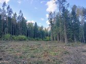Unikalus pusiasalis su 250m Dubingos upės - nuotraukos Nr. 5