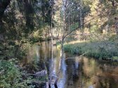 Unikalus pusiasalis su 250m Dubingos upės - nuotraukos Nr. 7