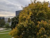 Išnuomojame jaukų 1 kambario butą Šnipiškių - nuotraukos Nr. 20