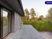 Vanagupė, Palanga – ramybei ir kokybiškam - nuotraukos Nr. 14