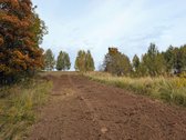 Kartu parduodami du besiribojantys sklypai: - nuotraukos Nr. 8