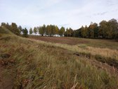 Kartu parduodami du besiribojantys sklypai: - nuotraukos Nr. 5